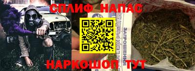 a pvp Дубна