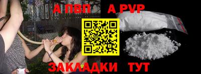 a pvp Дубна