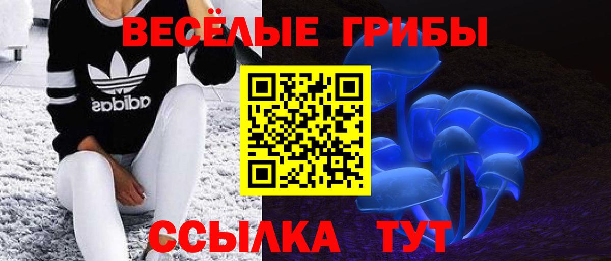 Псилоцибиновые грибы Psilocybe  Галлюциногенные грибы Psilocybine cubensis  Вход с VPN  Мценск 